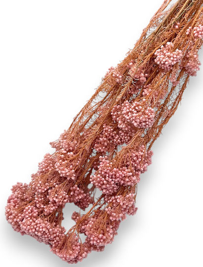 Buchet Sămânță Uscată Roz – Ramuri Decorative și Aranjament Floral 70cm L124r Riniotis Rin-l124r