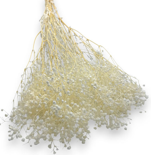 Buchet Alb Uscat De Gypsophila – Buchet De Decor Tradițional 70cm L119L Riniotis Rin-l119l