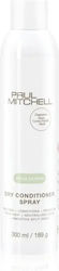Paul Mitchell Spray 300ml Paul Mitchell Spray 300ml