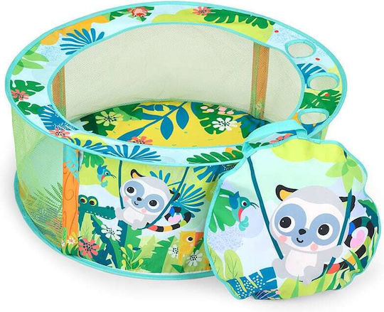 Bright Starts Activity Gym for 6+ Months