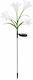 Solarleuchte Blume 4W Rote Mit Fotowiderstand IP65 8,5x7cm