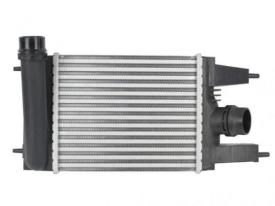 Intercooler Nissan Juke Pulsar 144613zu0a