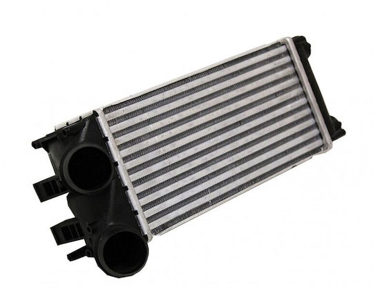 Intercooler Citroën Berlingo C4 Peugeot 3008 308 0384n9