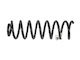 Rear Suspension Spring Mercedes A Class 1683200108