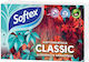 Softex Класически 6 Пакета Кърпички Джобен
