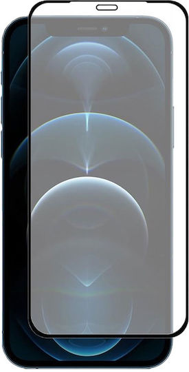 0,3mm Gehärtetes Glas (iPhone 12 Pro Max)