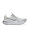 Gel-Nimbus 28 Platinum Männliche Sportschuhe Laufen Platin