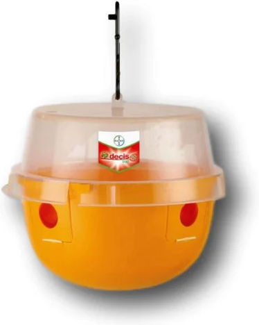 Decis Trap Dacus