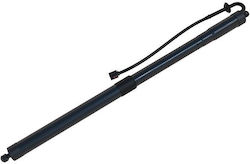 Loro Kofferraum-Schock Für Nissan Pathfinder III Loro Kofferraum-Schock Für Nissan Pathfinder III