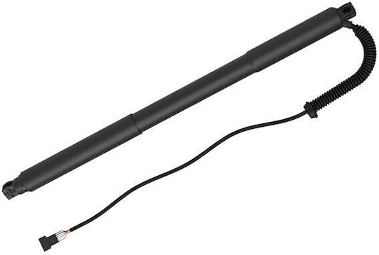 Loro Kofferraum-Schock Für Bmw 3 Touring 51247340975