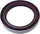 Mercury Outboard Oil Hose 40 HP-60 HP 26-8173971