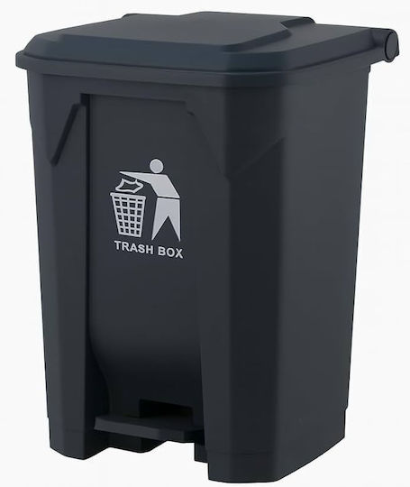 Temno Coș De Gunoi Din Plastic Cu Pedală 100lt Gri