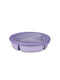 Mepal Cutie de prânz din plastic violet