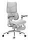 Sihoo Doro S300 Office Chair with Adjustable Arms Off White