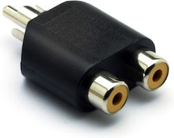 RCA RCA male σε RCA female RCA RCA male σε RCA female