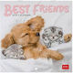 Legami Milano Best Friends Daily Wall Calendar ...