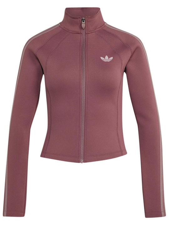 adidas adidas