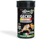 Haquoss Gecko Gourmet Mango & Papaya 250ml/100gr