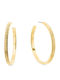 Calvin Klein Earrings Hoops from Steel Gold Plated