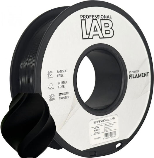 Professional Lab 3d Filament 1kg Hs-pla Black