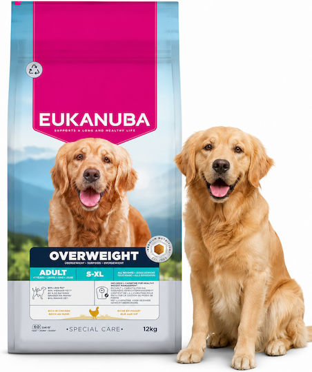 Eukanuba Daily Care 12kg Trockenfutter für Erwachsene Hunde Mittlere Rassen
