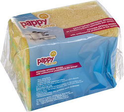 Pappy Home Σφουγγαράκι Κουζίνας Αντιβακτηριδιακό 3τεμ 6-72982
