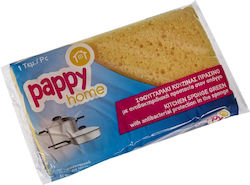 Pappy Home Σφουγγαράκι Κουζίνας Αντιβακτηριδιακό 1τεμ 6-72981