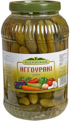 Κωστοπουλος Αγγουράκι Μέτριο 2.2kg 6-70735