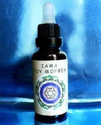 Neue Verbündete Blumenessenzen des Morpheus 30 ml