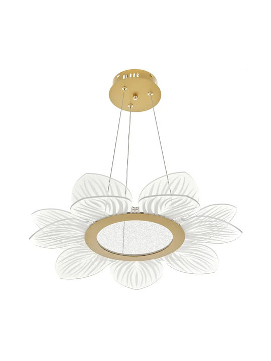 Deckenleuchte Gold mit Integrierte LED