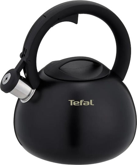 Tefal Teekanne Keramik Schwarz