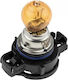 NTY Lămpi Auto PSY24W Portocalii 12V 24W 10 Bucăți
