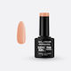 Elixir Elixir Gel Nagellack #966 (Mocha) 8ml