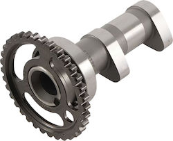Vertex Crankshaft Bearing