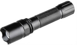 SPV LED Flashlight SPV LED Flashlight