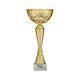 Cupa Auriu Sporturilor