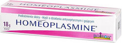 Boiron Κρέμα για Επούλωση 18gr