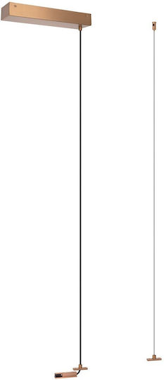 Lucide 55900-05-05 Linial Beitrag Champagne