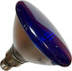 Halogen Lamp Hard Glass 80w E27 42v Blue