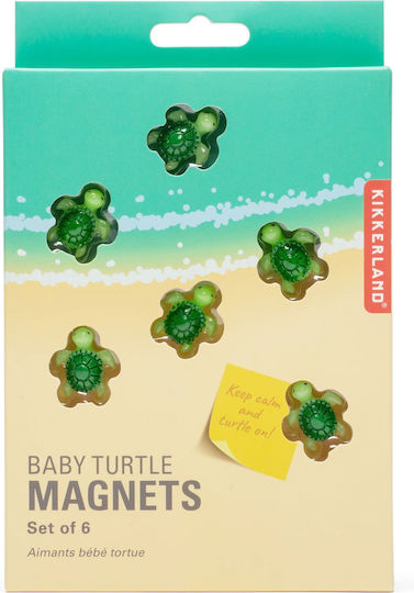 Kikkerland Dekorative Magnete Baby Schildkröte 6 Stück