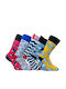 Kal-tsa Men's Multicolour Socks 5Pack