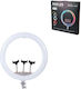 RGB Ring Light 56cm and Mobile Phone Holder