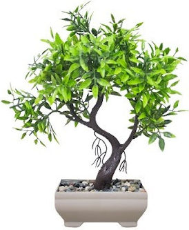 Sidirela Plastic Pot Plant No25 S12 7-74374