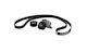 Renault Master Micro-v Gürtel Iii 10 + Tenzontüren 2.3dci Set 7pk1751 117202056r