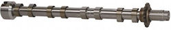 Ax Came 2,0 Blue Hdi 13ex 9804424280 Ax Came 2,0 Blue Hdi 13ex 9804424280