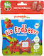 Erdbeer Fruchtchips Bio