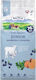 3kg Grain-Free Dry Dog Food for Large Breed Puppies with Lamb
