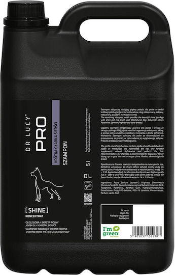 Dr Lucy Shine Hundeshampoo für kurzes Haar 5 L