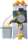 Vevor Juicer 100W