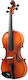Wirtschaftliches 1/2 Violino Hora